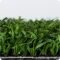 Césped artificial verde