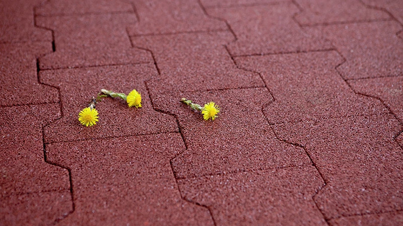 La foto muestra un primer plano de pavimento de goma roja con formato doble T. Dos pequeñas flores amarillas descansan sobre la superficie, resaltando la textura y el color del material. La superficie elástica de granulado de goma aglutinado con PU es porosa, permeable al agua y casi sin juntas. La imagen transmite la sensación natural, silenciosa y detallada del material.